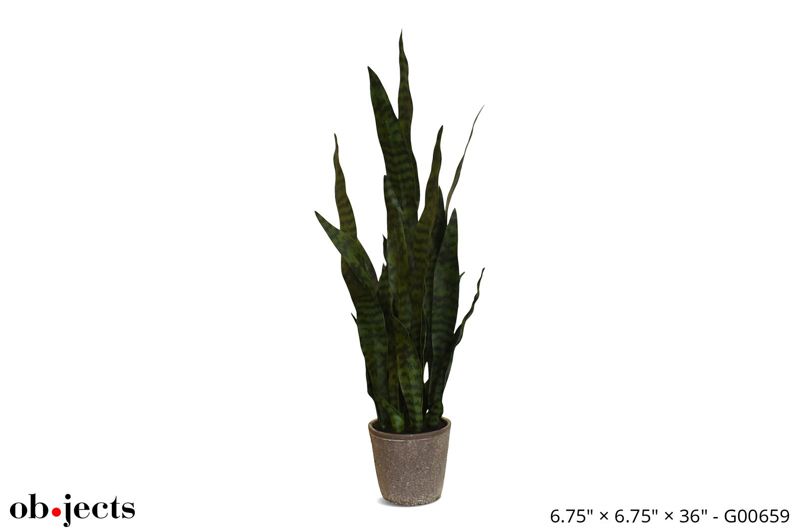 Plant Faux Snake in Grey Pot Ob•jects