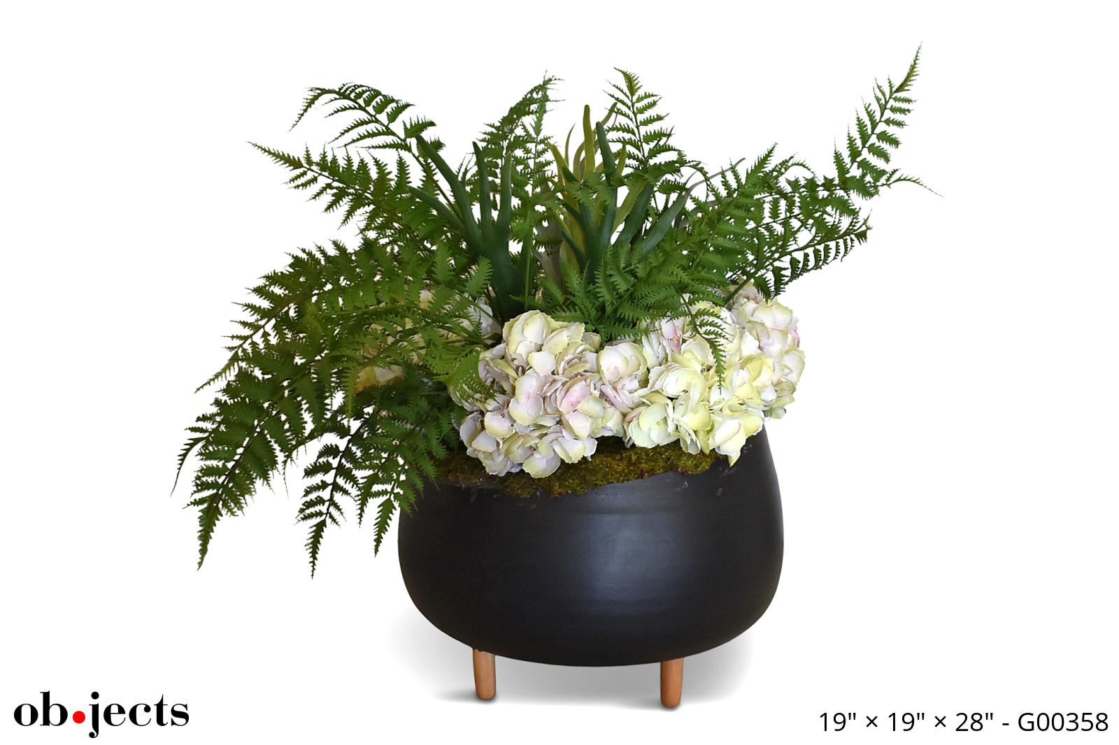 Verstenen sirene vervolgens Ferns/White Hydrangeas/Staghorn Ferns Faux in Black Ceramic Pot Belly Pot w/ Blond Feet | Ob•jects